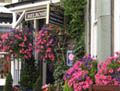 Melrose Guest House Ambleside