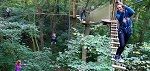 Go Ape Whinlatter image