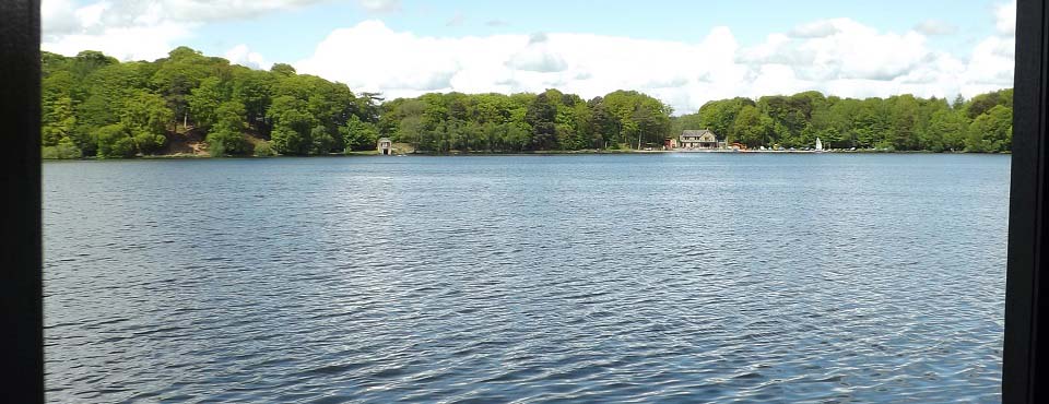 Talkin Tarn Bird Viewing image